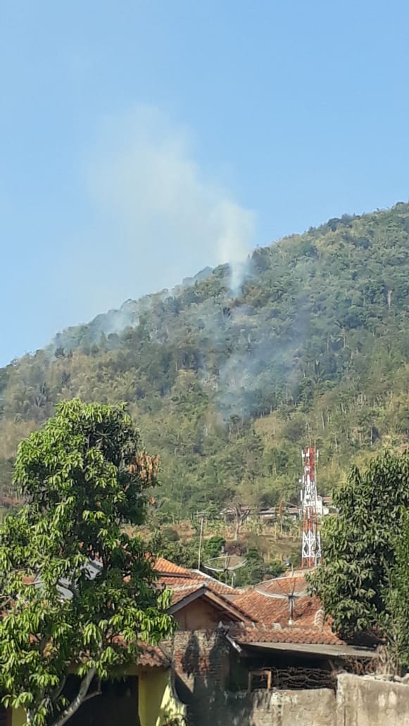 Kebakaran KHDTK Gunung Geulis - Sekolah Ilmu Dan Teknologi Hayati