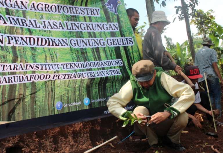 Pengembangan Pilot Rehabilitasi Hutan Dengan Model Agroforestry Melalui ...