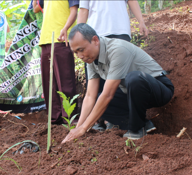 Pengembangan Pilot Rehabilitasi Hutan Dengan Model Agroforestry Melalui ...