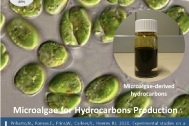 Experimental studies on a two-step fast pyrolysis-catalytic hydrotreatment process for hydrocarbons from microalgae (Nannochloropsis gaditana and Scenedesmus almeriensis)