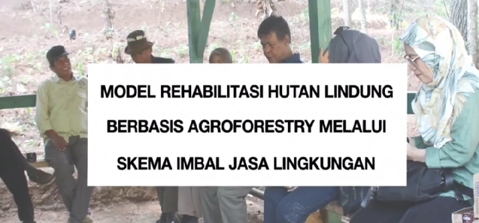 Start Up Agroforestry Kopi di KHDTK Hutan Pendidikan Gunung Geulis
