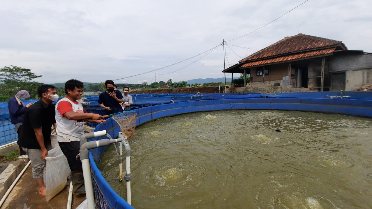 Pengaplikasian Teknologi Tepat Guna untuk Produksi Ikan Nila  di DAS Citarum, Cianjur, Jawa Barat