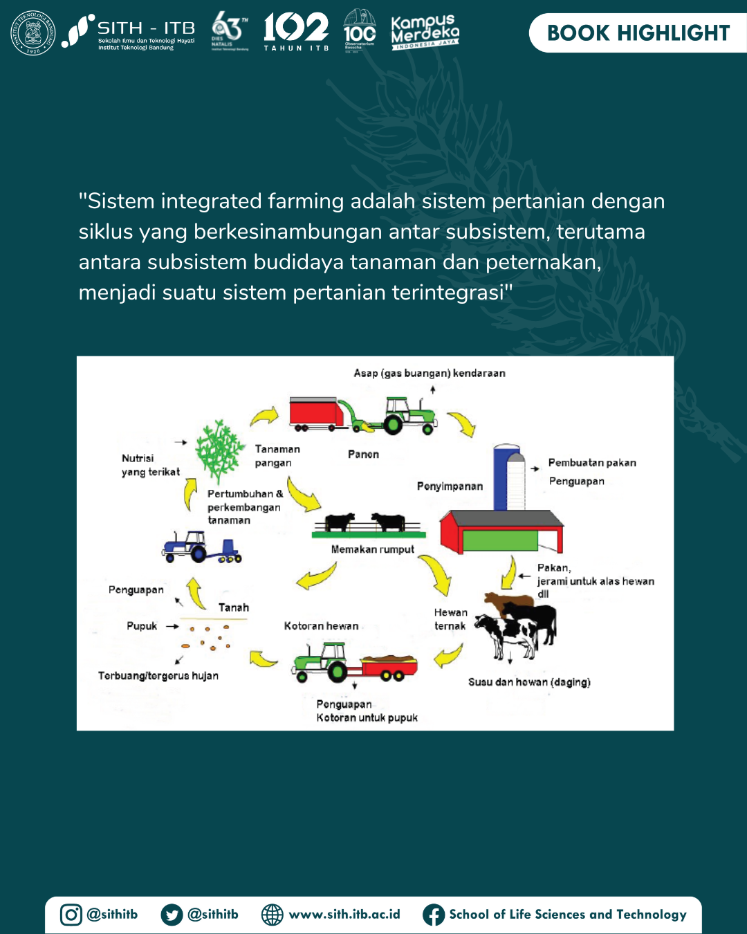 Sistem Pertanian Terpadu: Harmoni Alam dan Peningkatan Produktivitas