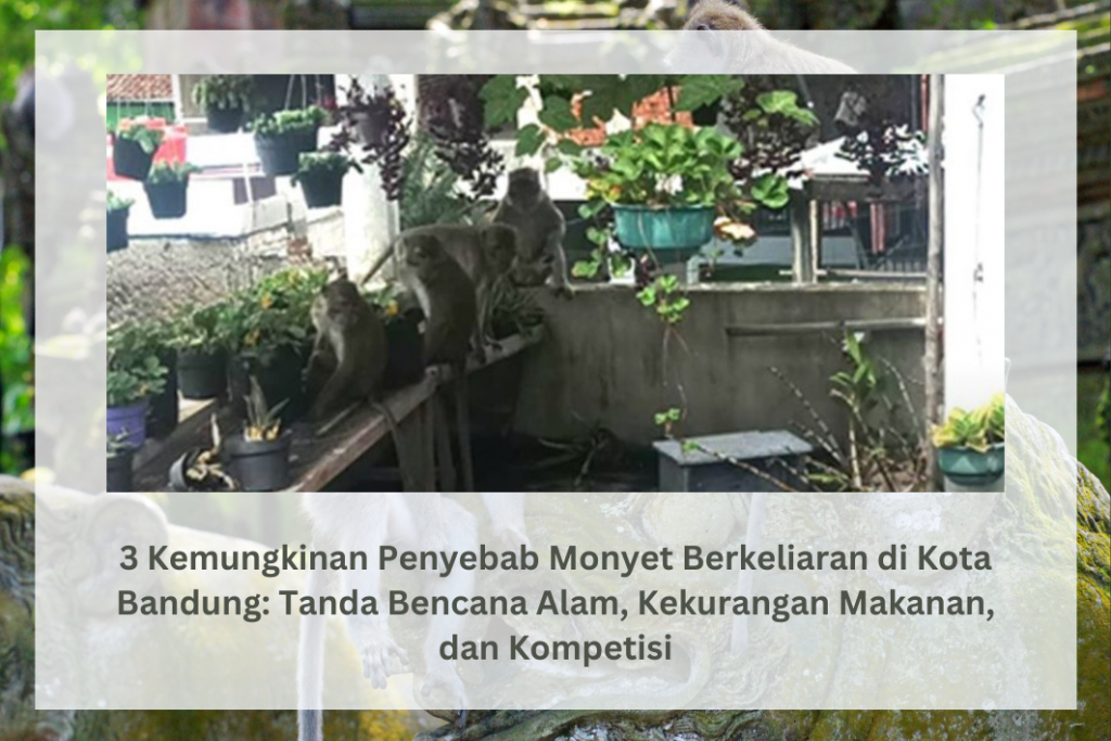 3 Kemungkinan Penyebab Monyet Berkeliaran di Kota Bandung: Tanda Bencana Alam, Kekurangan Makanan, dan Kompetisi